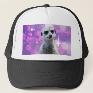 Schimmernder Charme: Meerkat auf rosa Bokeh Hinter Truckerkappe