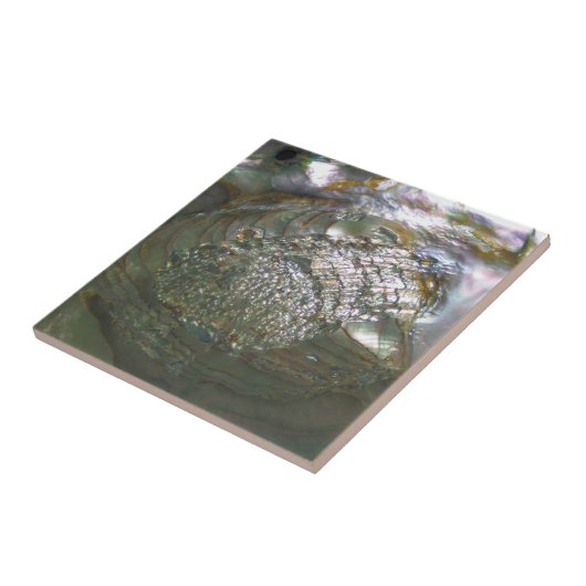 Schimmernder OhrschneckeSeashell, schöne Natur Fliese (Seite)