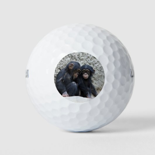 Schimpanse002 Golfball (Vorderseite)