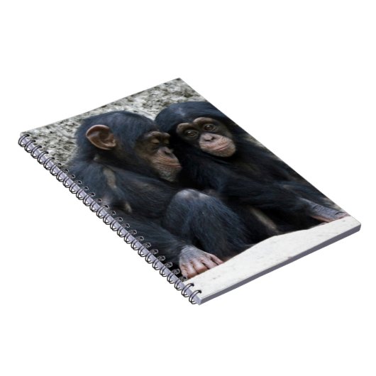Schimpanse002 Notizblock (Rechte Seite)
