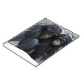 Schimpanse002 Notizblock (Linke Seite)