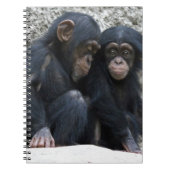 Schimpanse002 Notizblock (Vorderseite)