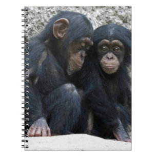 Schimpanse002 Notizblock