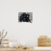 Schimpanse002 Poster (Küche)