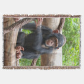 Schimpanse 001 decke (Vorderseite)