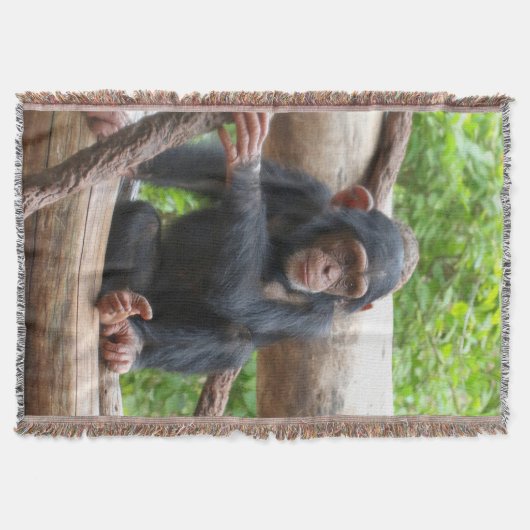 Schimpanse 001 decke (Vorderseite)