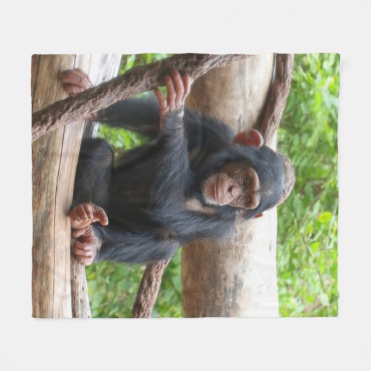 Schimpanse 001 fleecedecke (Vorderseite (Horizontal))