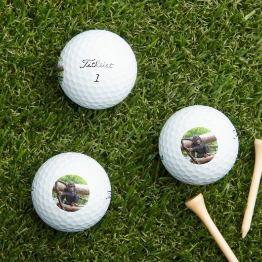 Schimpanse 001 golfball (Insitu Gras)