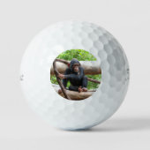 Schimpanse 001 golfball (Vorderseite)