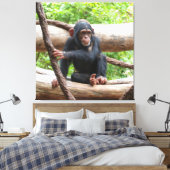 Schimpanse 001 leinwanddruck (Insitu (Schlafzimmer))