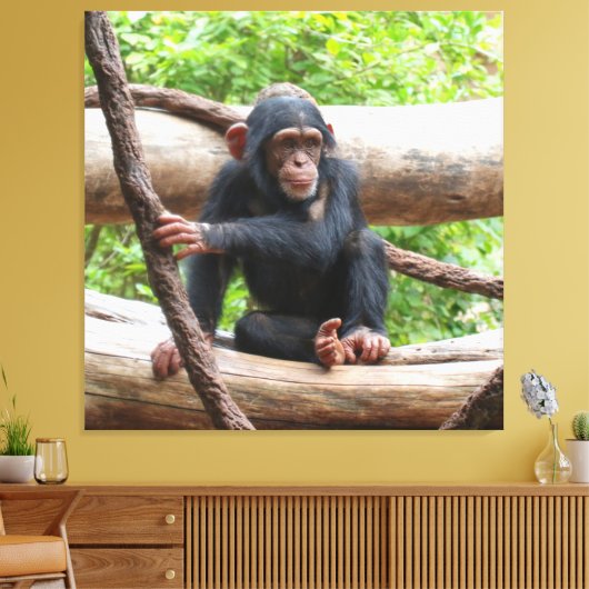 Schimpanse 001 leinwanddruck (Insitu (Wohnzimmer))