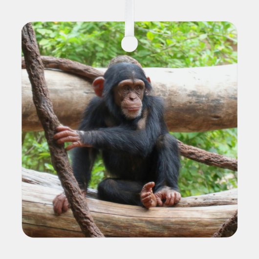 Schimpanse 001 ornament aus metall (Vorderseite)