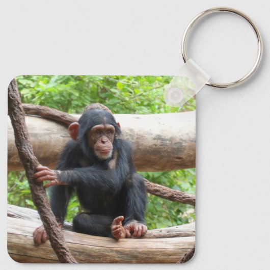 Schimpanse 001 schlüsselanhänger (Rückseite)