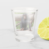 Schimpanse 001 schnapsglas (Rückseite)