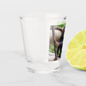 Schimpanse 001 schnapsglas (Links)