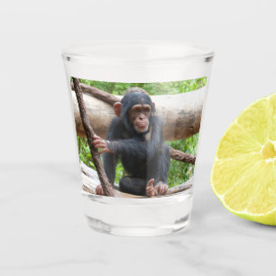 Schimpanse 001 schnapsglas