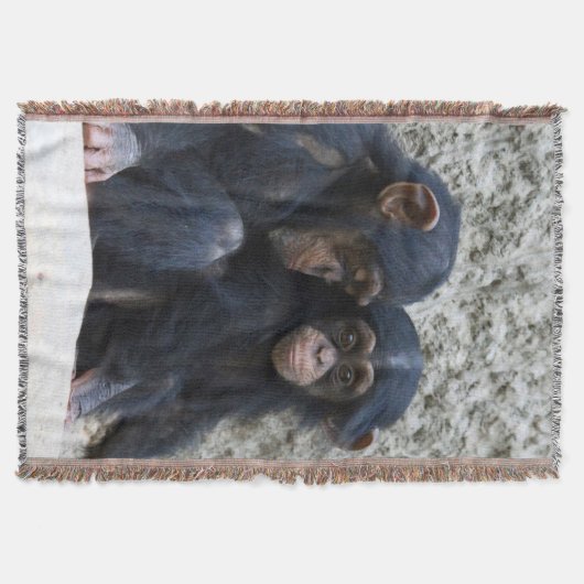 Schimpanse 002 decke (Vorderseite)