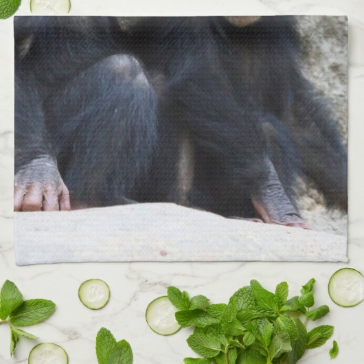 Schimpanse 002 geschirrtuch (Gefaltet)