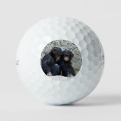 Schimpanse 002 golfball (Vorderseite)