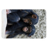 Schimpanse 002 magnet (Horizontal)