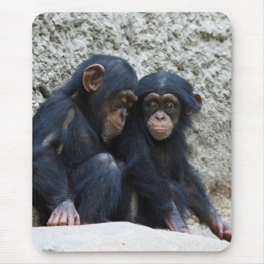 Schimpanse 002 mousepad (Vorne)