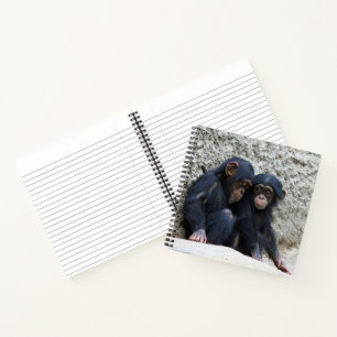 Schimpanse 002 notizblock