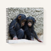Schimpanse 002 notizblock (Vorderseite)