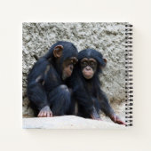 Schimpanse 002 notizblock (Rückseite)