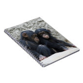 Schimpanse 002 notizblock (Rechte Seite)