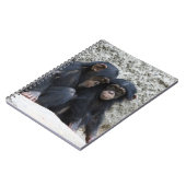 Schimpanse 002 notizblock (Linke Seite)