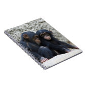 Schimpanse 002 notizblock (Rechte Seite)