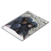 Schimpanse 002 notizblock (Linke Seite)