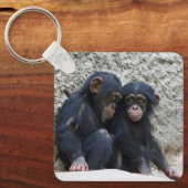 Schimpanse 002 schlüsselanhänger (Vorderseite)