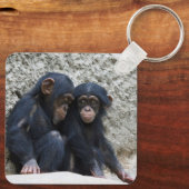 Schimpanse 002 schlüsselanhänger (Rückseite)