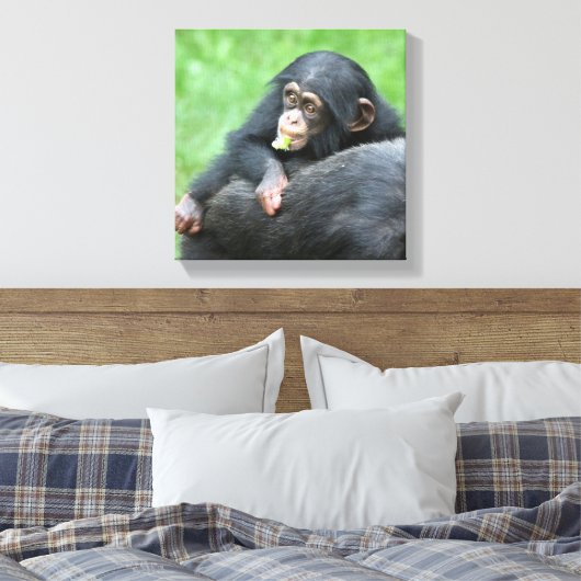 Schimpanse 005 leinwanddruck (Insitu (Schlafzimmer))