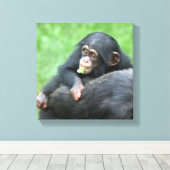 Schimpanse 005 leinwanddruck (Insitu (Holzboden))