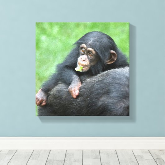 Schimpanse 005 leinwanddruck (Insitu (Holzboden))