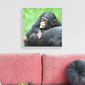 Schimpanse 005 leinwanddruck (Insitu (Wohnzimmer))