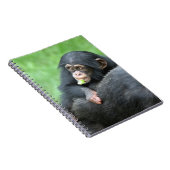 Schimpanse 005 notizblock (Rechte Seite)
