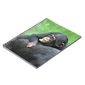 Schimpanse 005 notizblock (Linke Seite)