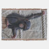 Schimpanse 017 decke (Vorderseite)