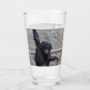 Schimpanse 017 glas