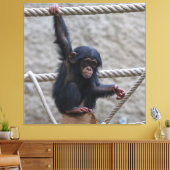 Schimpanse 017 leinwanddruck (Insitu (Wohnzimmer))