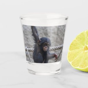 Schimpanse 017 schnapsglas