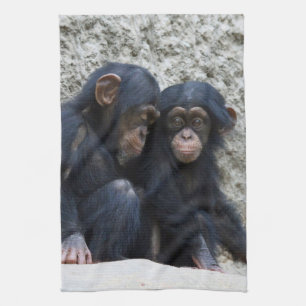 Schimpanse 022 geschirrtuch