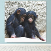 Schimpanse 022 leinwanddruck (Insitu (Holzboden))