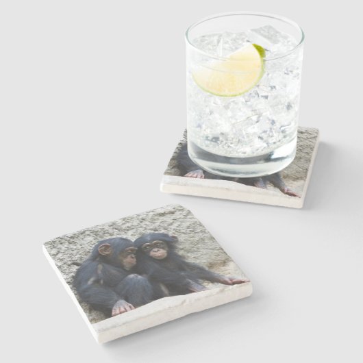 Schimpanse 022 steinuntersetzer (Seitenansicht)