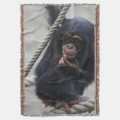 Schimpanse 030 decke (Vorderseite Vertikal)