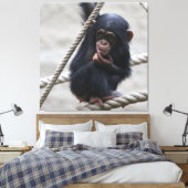 Schimpanse 030 leinwanddruck (Insitu (Schlafzimmer))