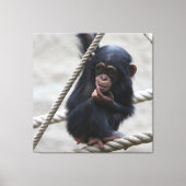 Schimpanse 030 leinwanddruck (Vorderseite)